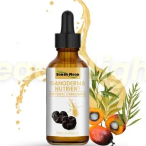 Beauty Lights Hair Darkening Batana Oil L
