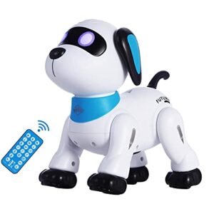 Voice Programming Stunt Dog Robot so happy your kids